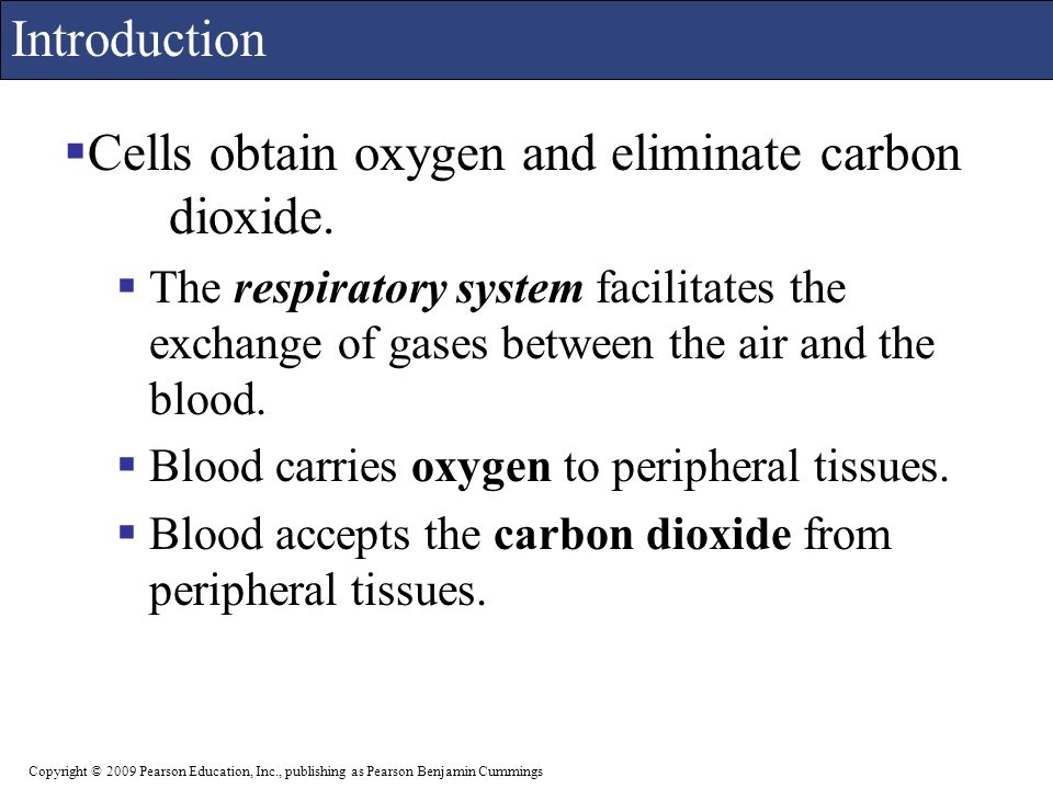 An introduction to respiratory gases